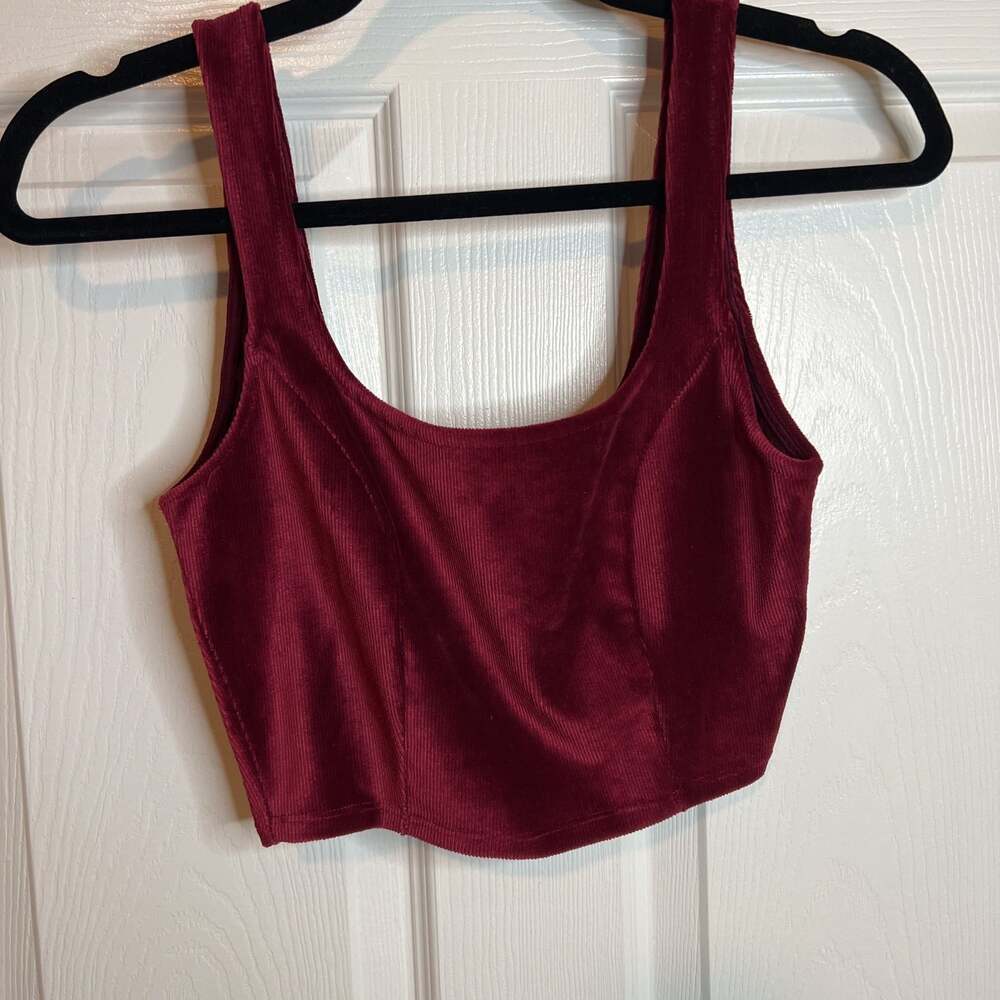 Liz & Sara Burgandy Velvet Crop Top